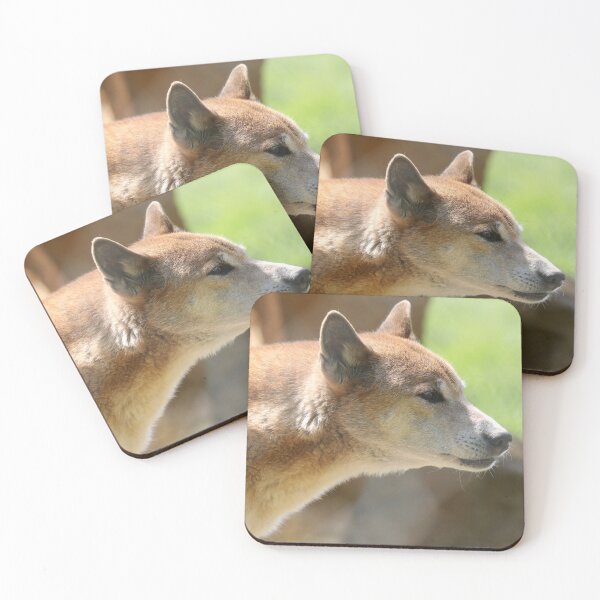 Item preview, New Guinea Singing Dog designed and sold by aquabella.