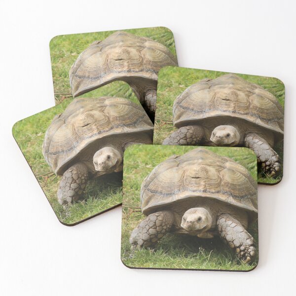 Item preview, Tortoise designed and sold by aquabella.