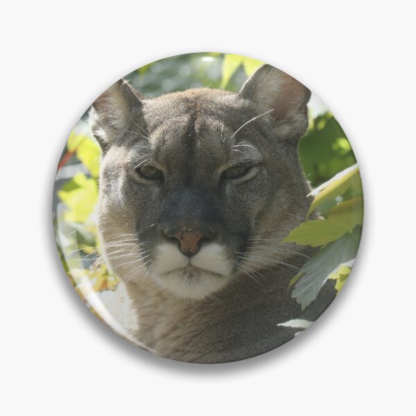 Item preview, Puma designed and sold by aquabella.