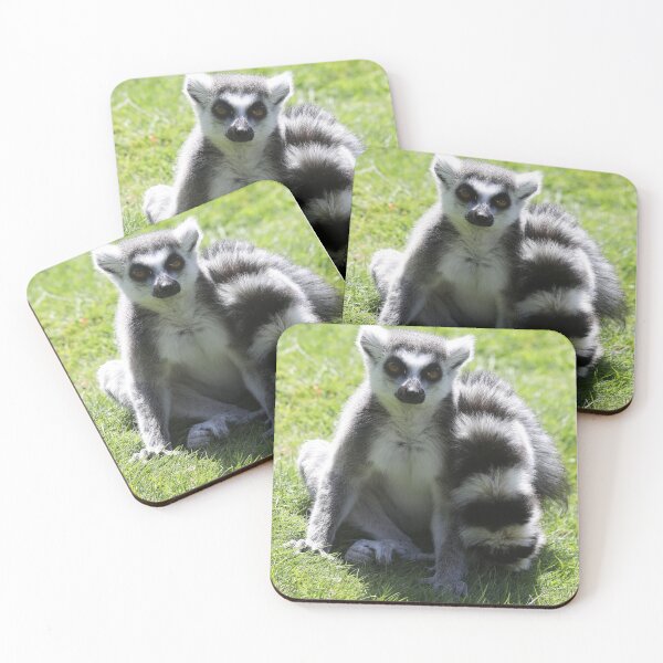 Item preview, Ring Tailed Lemur designed and sold by aquabella.