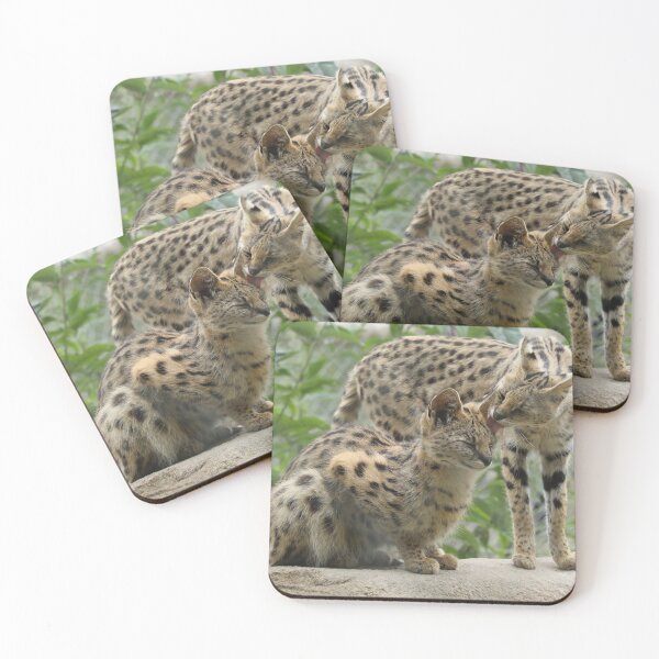 Item preview, Servals designed and sold by aquabella.