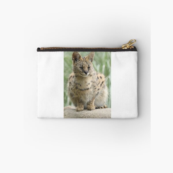 Item preview, Serval designed and sold by aquabella.