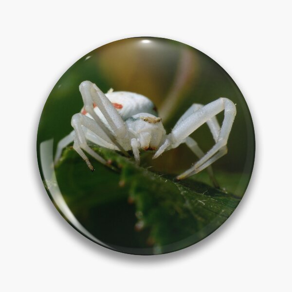 Item preview, The white spider 2 red stripes 1 by Okaio Créations 2015 by fz 1000 400.000 photos framings different picture on request on each support designed and sold by o.okaïo.