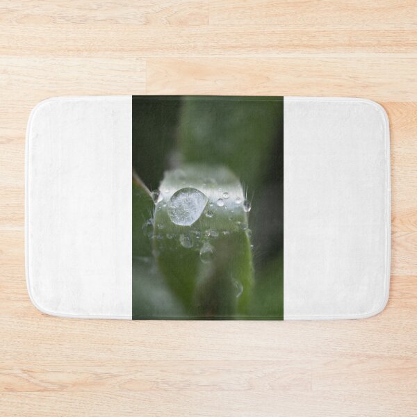 Item preview, EVERGREEN designed and sold by Michelle Lee Blatt.
