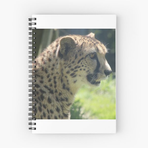 Item preview, Cheetah designed and sold by aquabella.