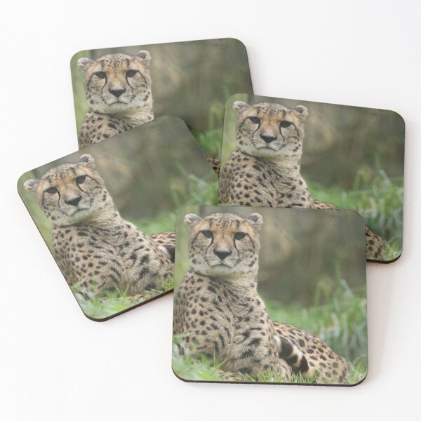 Item preview, Cheetah designed and sold by aquabella.