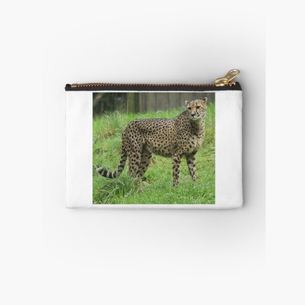 Item preview, Cheetah designed and sold by aquabella.