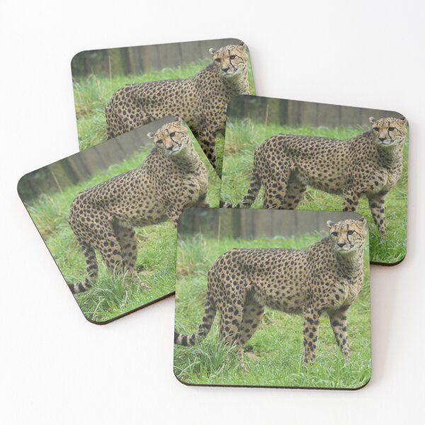 Item preview, Cheetah designed and sold by aquabella.