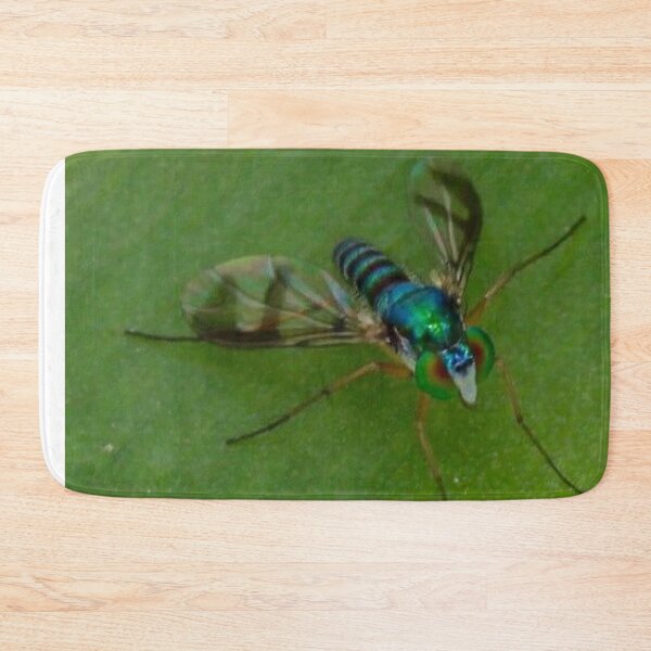 Item preview, Fruit fly designed and sold by Mickpew.