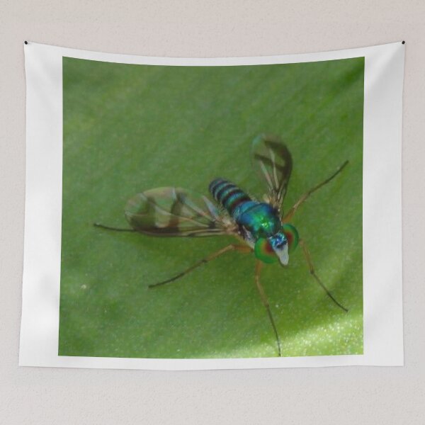 Item preview, Fruit fly designed and sold by Mickpew.