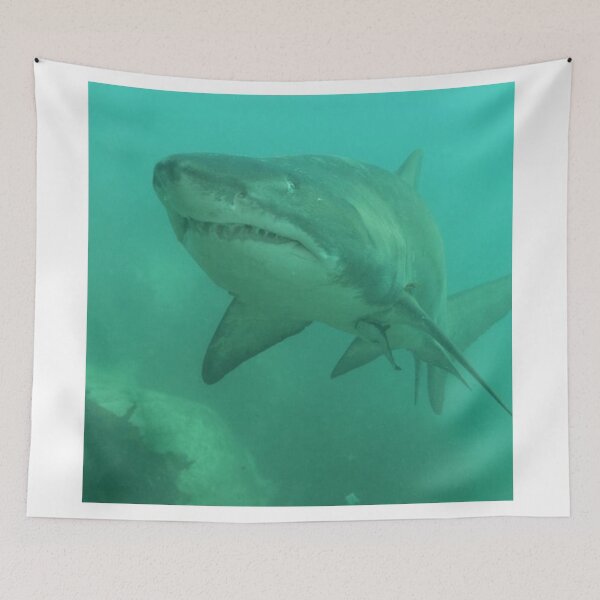 Item preview, Shark designed and sold by Mickpew.