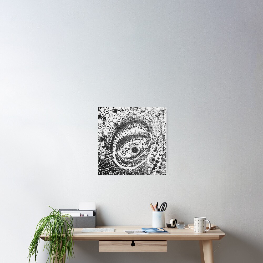 Eye of the Storm Poster