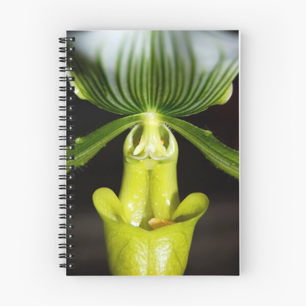Item preview, Alien Orchid designed and sold by WaterGardens.