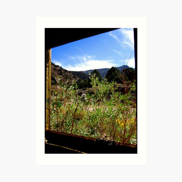 Another Out The Window View Art Print