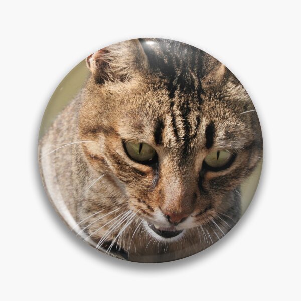 Artikelvorschau, Getigerte Katze, die aus großer Höhe nach unten schaut entworfen und verkauft von taiche.