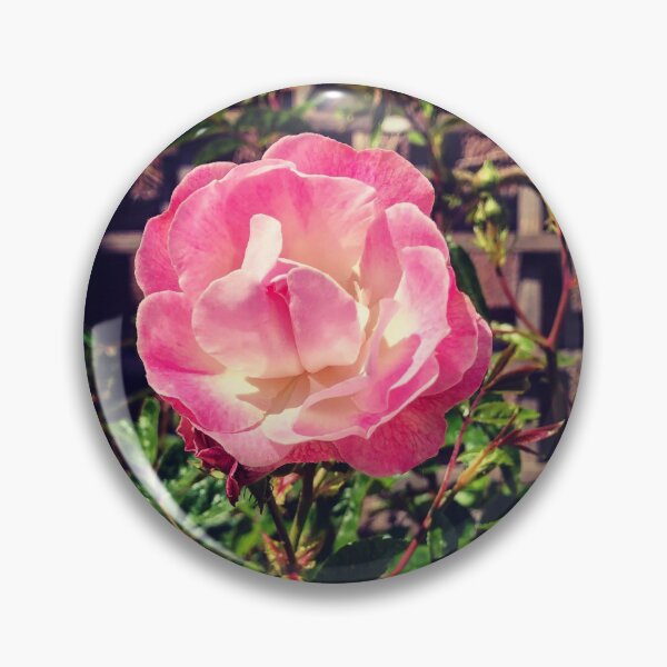 Item preview, Pink Rose designed and sold by Graham Sessions.
