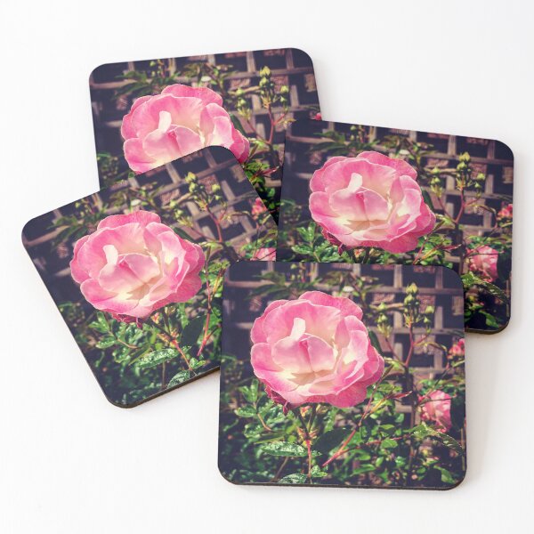 Item preview, Pink Rose designed and sold by Graham Sessions.
