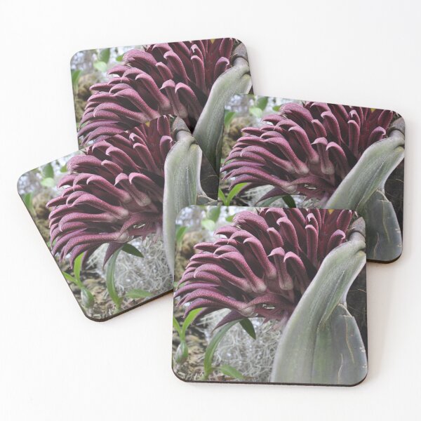 Item preview, Tongue Orchid by stellaclay designed and sold by stellaclay.