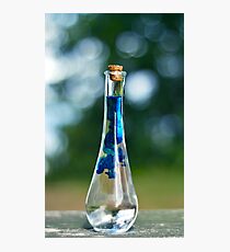 Potion Crafting Photographic Print