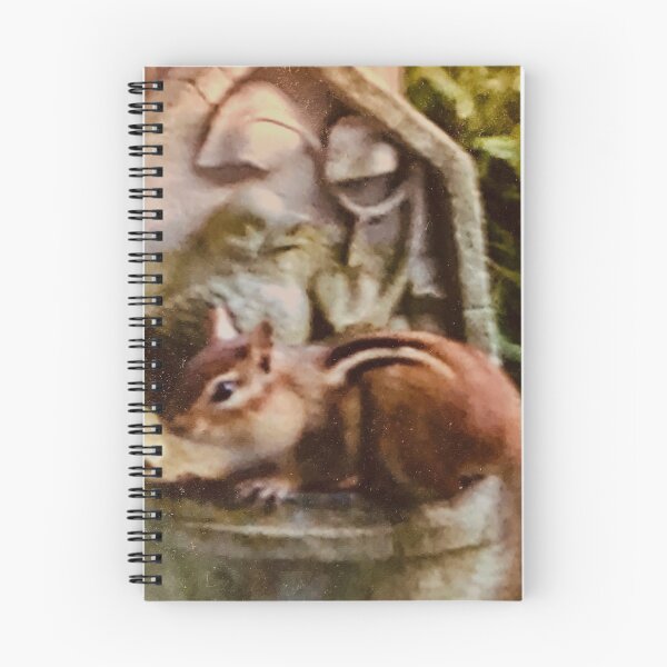 Item preview, Chipmunk with mouthful of birdseed  designed and sold by Phooph1.