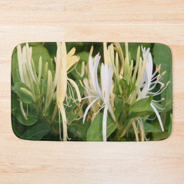 Item preview, Closeup Of Lonicera European Honeysuckle Flower designed and sold by taiche.