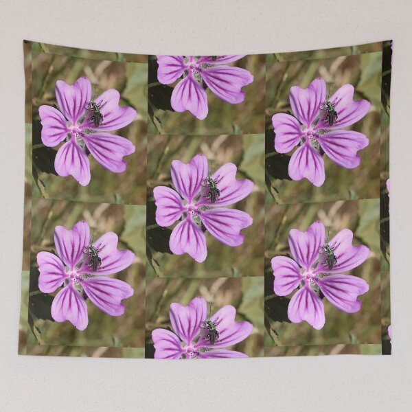 Item preview, Common Mallow designed and sold by pinkal.