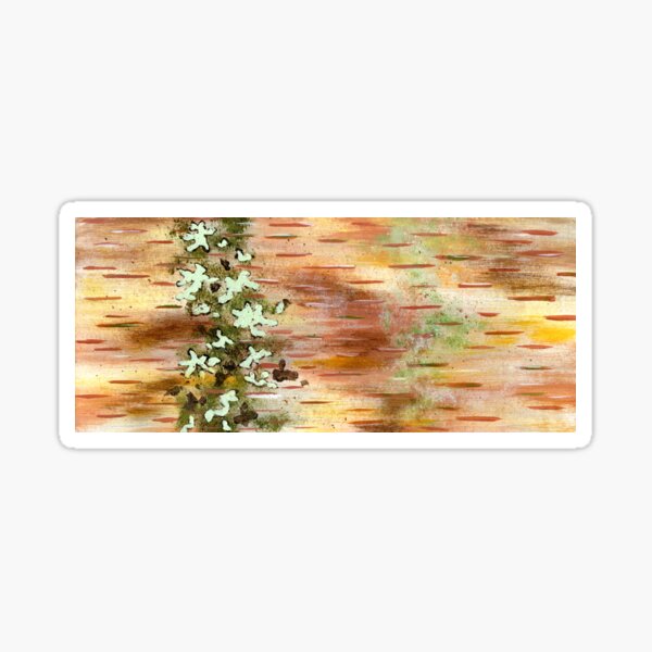 Northern Birch Bark Sticker