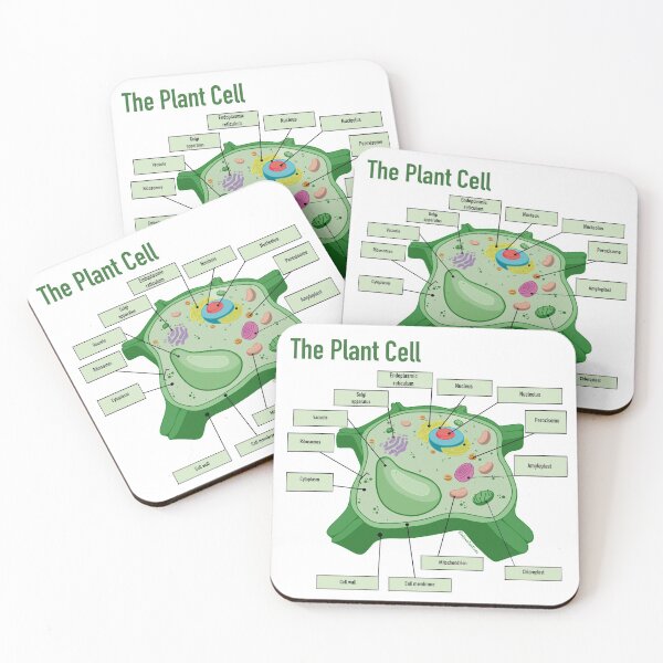 Item preview, The Plant Cell designed and sold by Alawstrations.