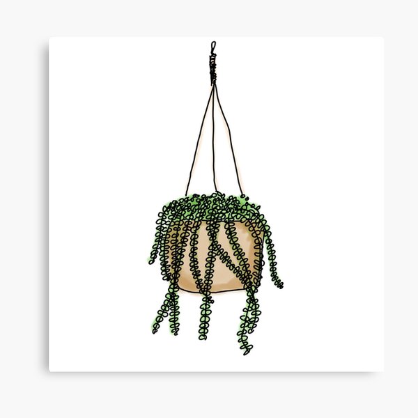 Item preview, Hanging plant designed and sold by emlouisec13.