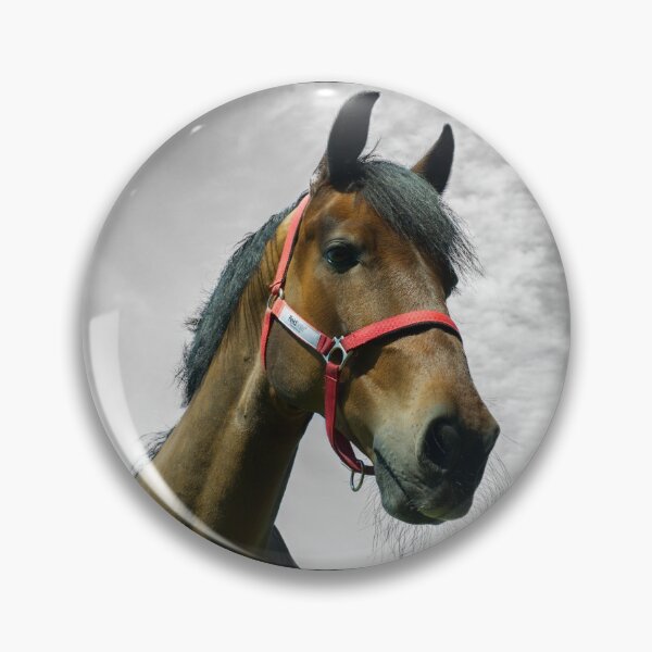 Item preview, Chestnut horse head against a monochrome sky designed and sold by PicsByTony.