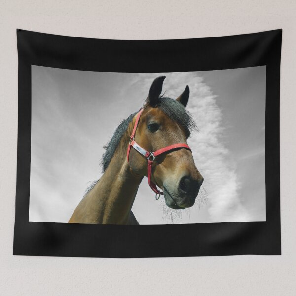 Item preview, Chestnut horse head against a monochrome sky designed and sold by PicsByTony.
