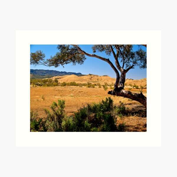 Item preview, Flinders Ranges, South Australia. designed and sold by johnrf.