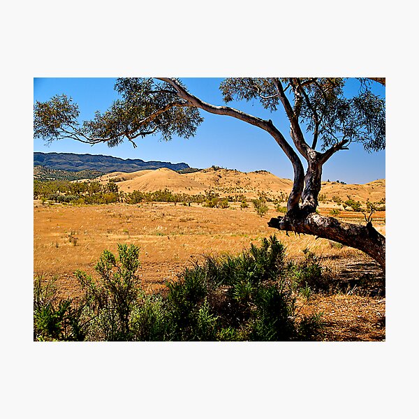Item preview, Flinders Ranges, South Australia. designed and sold by johnrf.