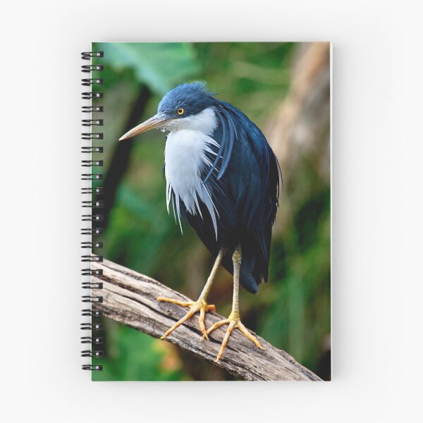 Item preview, Pied Heron designed and sold by Stuart Robertson Reynolds.