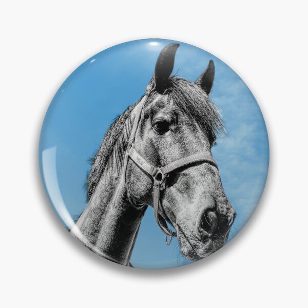 Item preview, Monochrome horse head against a blue sky designed and sold by PicsByTony.
