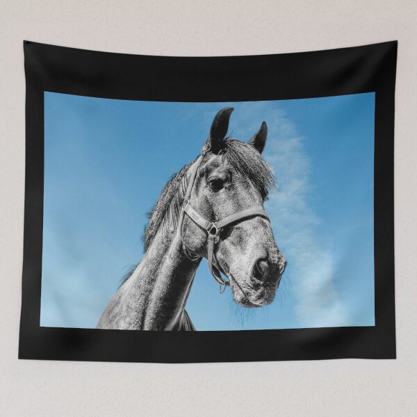 Item preview, Monochrome horse head against a blue sky designed and sold by PicsByTony.