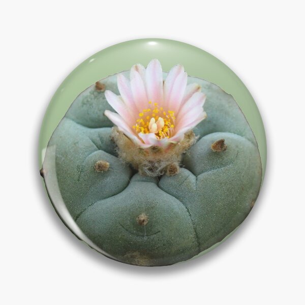 Item preview, Lophophora "Peyote" Williamsii designed and sold by Fruitsome.