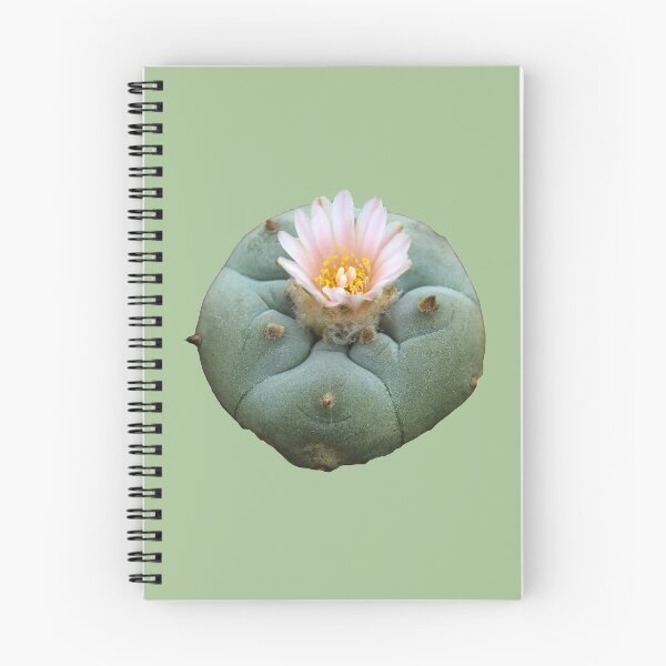 Item preview, Lophophora "Peyote" Williamsii designed and sold by Fruitsome.