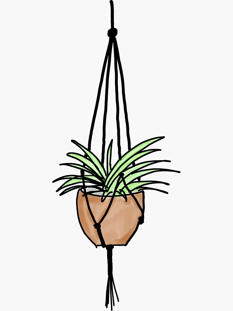 "Hanging plant doodle" Sticker by emlouisec13 Redbubble