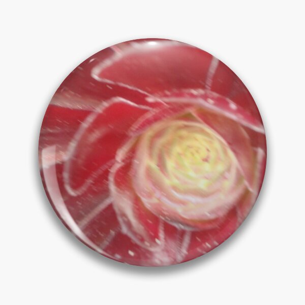 Item preview, Succulent Red Aeonium - Tresco Abbey Gardens, Scilly Isles  designed and sold by niki2028.