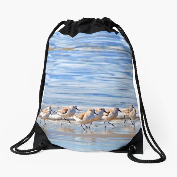 We're following the leader... Sandpipers in Goleta Beach California Drawstring Bag