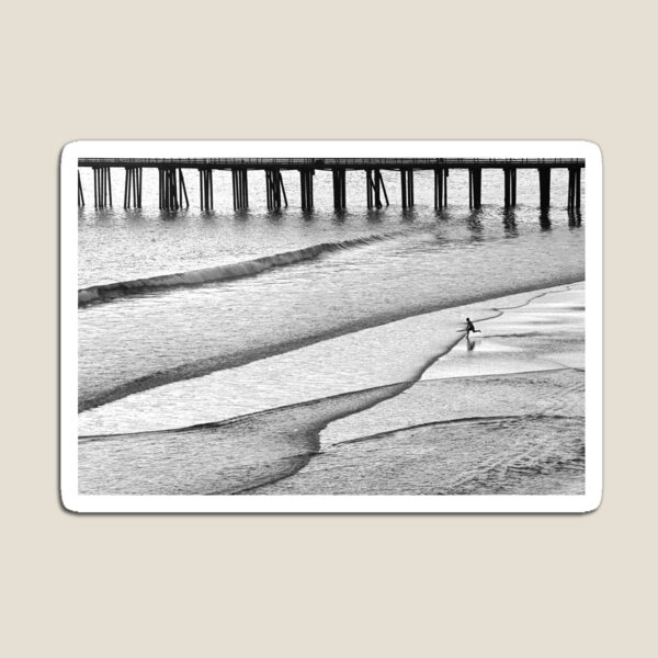 Skim Surfing Magnet