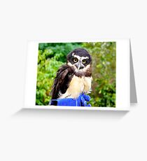 Spectacled Owl Grußkarte