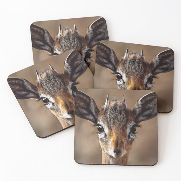 Item preview, Dik Dik- smallst Antelope of South Africa designed and sold by Keep-It-Wild.