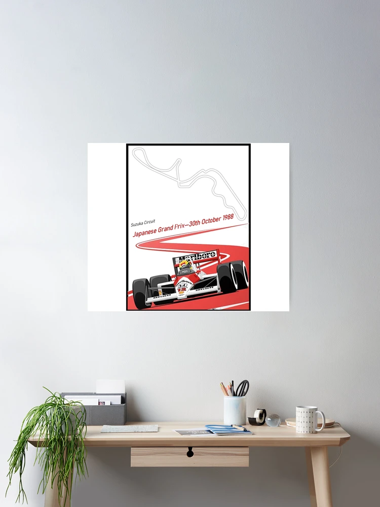 日本画 達磨図録 DARUMA NEVER FALLS YACHIKODARUMA / TOSHIHISA TANAKA