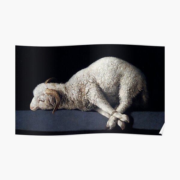 Agnus Dei Painting by Francisco de Zurbarán Poster