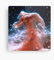 Horse Head Nebula Metal Print