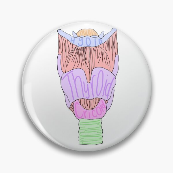 Item preview, Larynx Anatomy designed and sold by kadylampley.