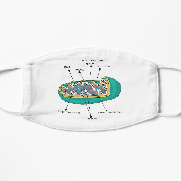Anatomy of Mitochondria poster | Anatomy of Mitochondria t-shirt | Anatomy of Mitochondria painting Flat Mask