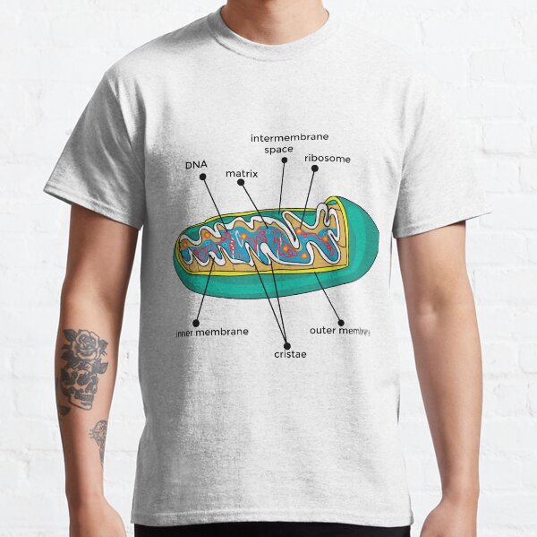 Anatomy of Mitochondria poster | Anatomy of Mitochondria t-shirt | Anatomy of Mitochondria painting Classic T-Shirt